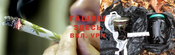 мяу мяу мука Козельск