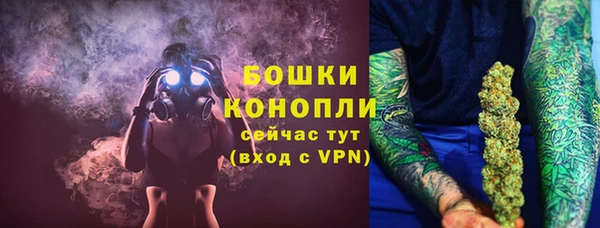 мдпв Козловка