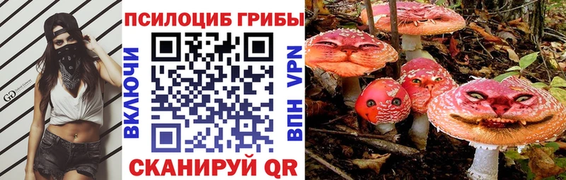 Галлюциногенные грибы мицелий  Купить где  Тюмень 